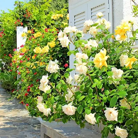 Apartmanhotel Lygies Muszáta